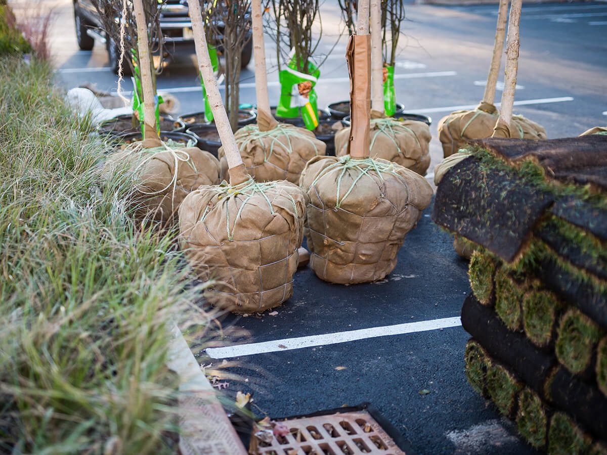 Reva Rahway 4th Floor Sun Deck & Ground Level Landscaping Landscape