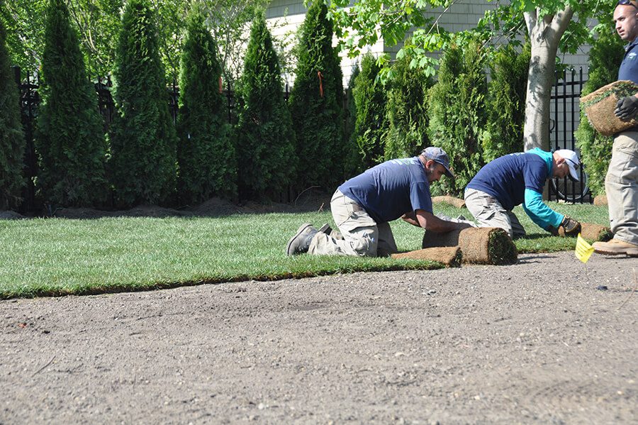 Lawn Renovation Landscape Solutions