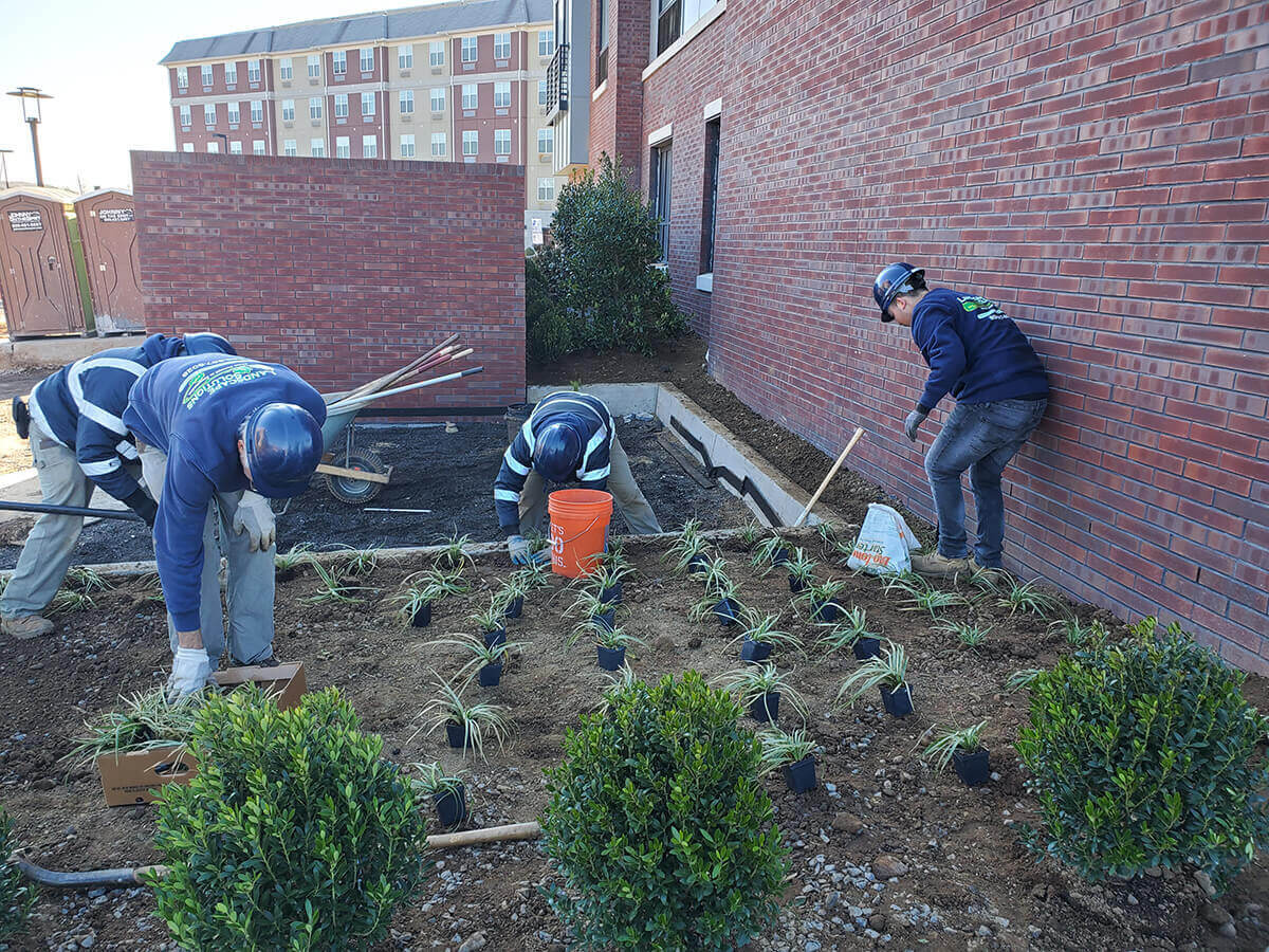 Reva Rahway 4th Floor Sun Deck & Ground Level Landscaping Landscape