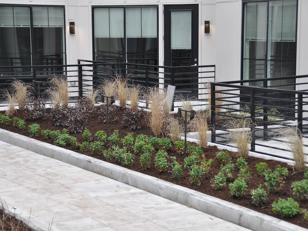 Reva Rahway 4th Floor Sun Deck & Ground Level Landscaping Landscape