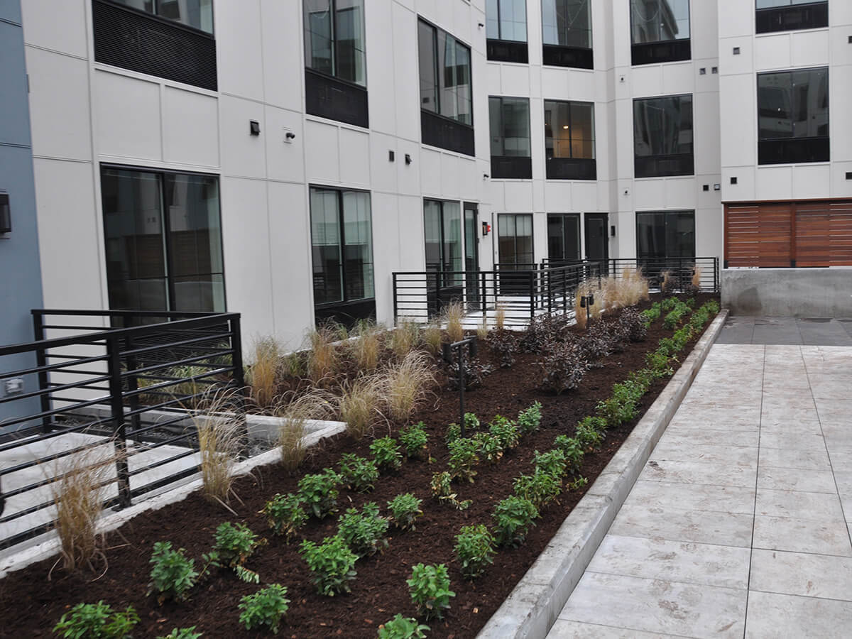 Reva Rahway 4th Floor Sun Deck & Ground Level Landscaping Landscape