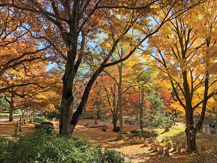 Final Testament Landscape Architecture Magazine