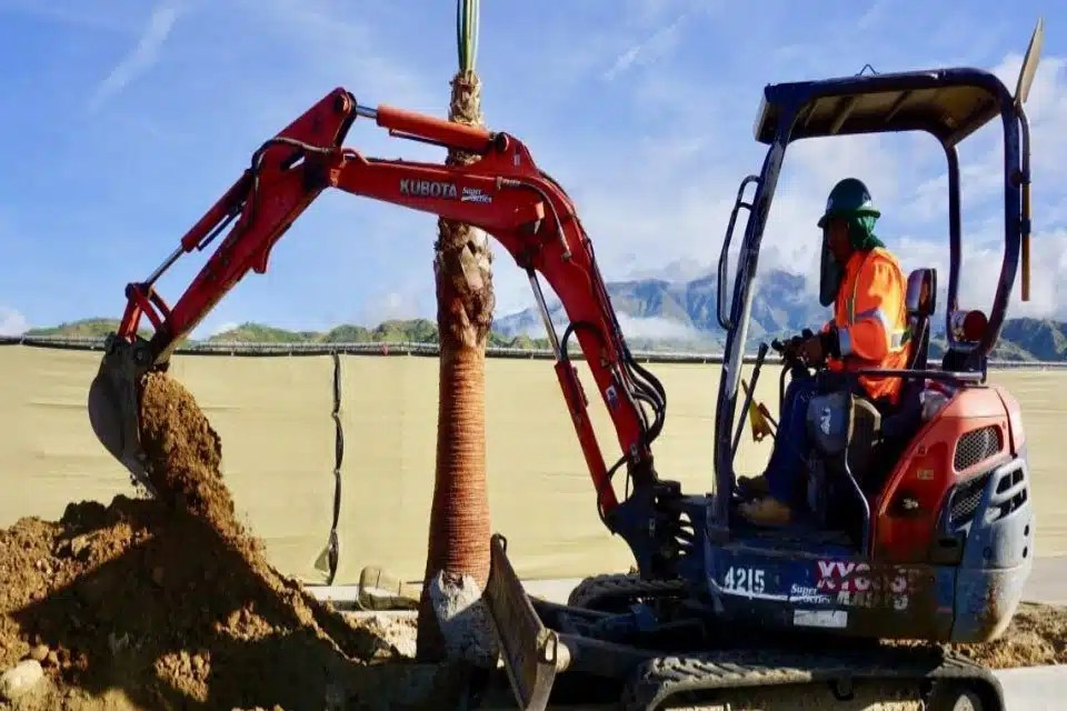 Curso de árboles Landscape Development Incorporated