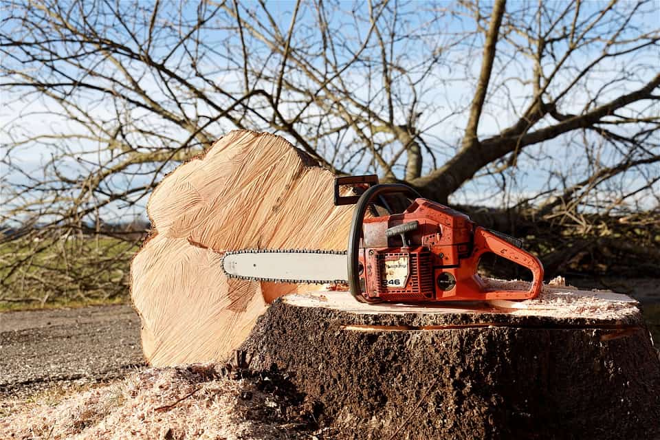 Top 7 Best Gas Chainsaws in 2021 Landscape Fix