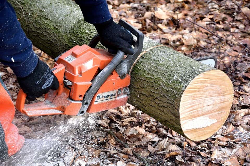 Top 7 Best Gas Chainsaws in 2021 Landscape Fix