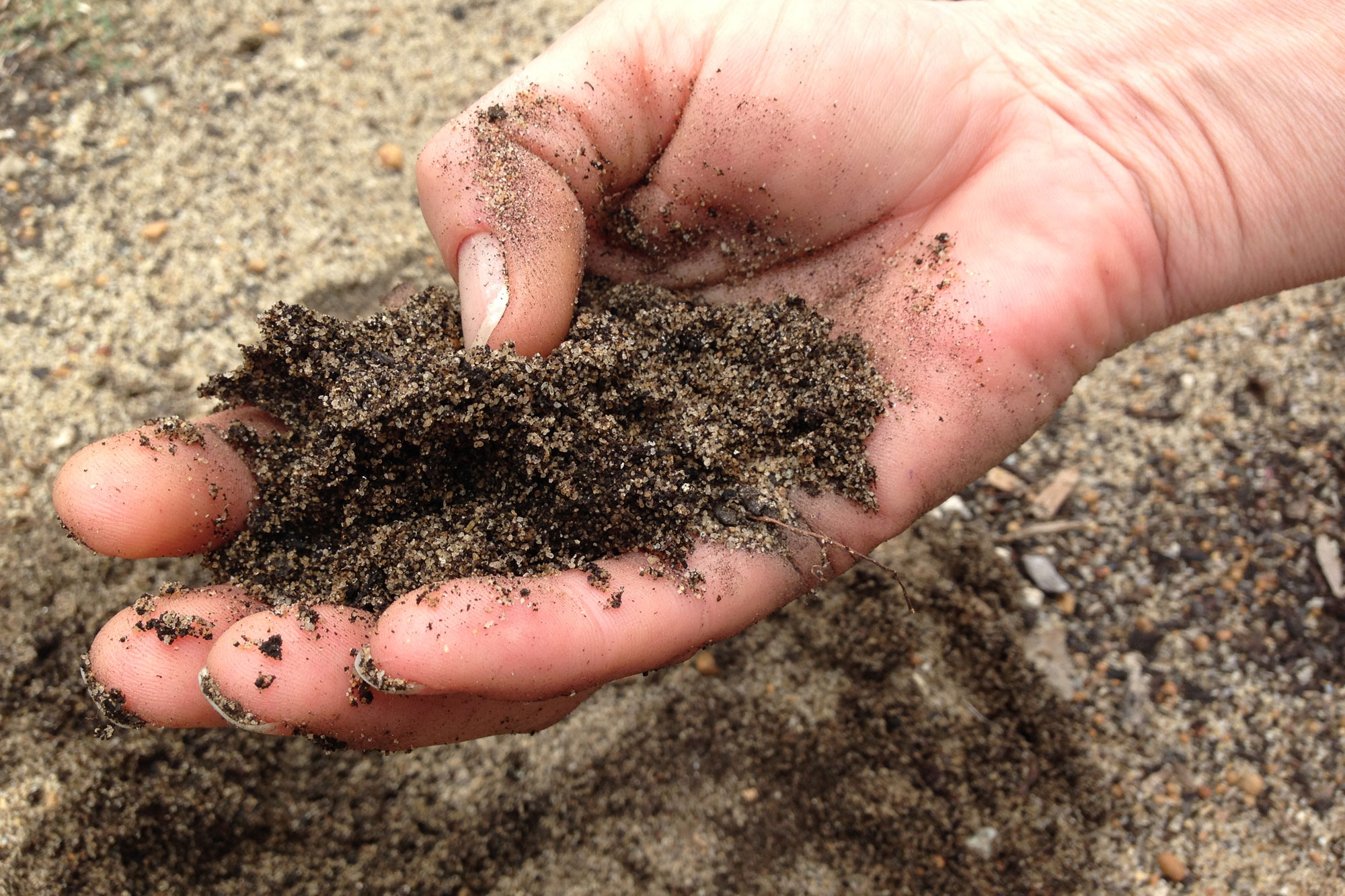 Soil Conditioning Soil Conditioning in Sri Lanka Landscape Srilanka