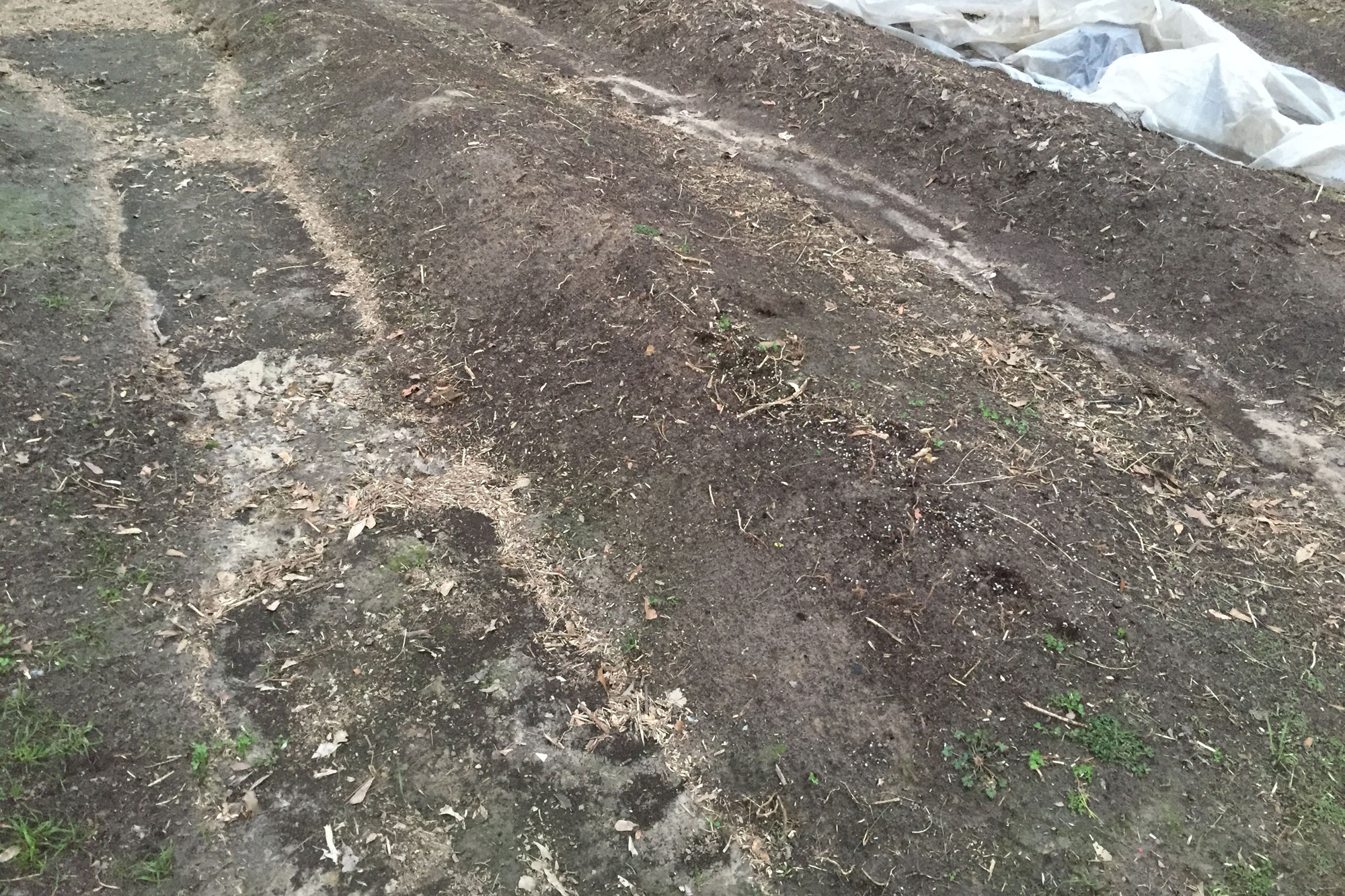 Soil Conditioning Soil Conditioning in Sri Lanka Landscape Srilanka