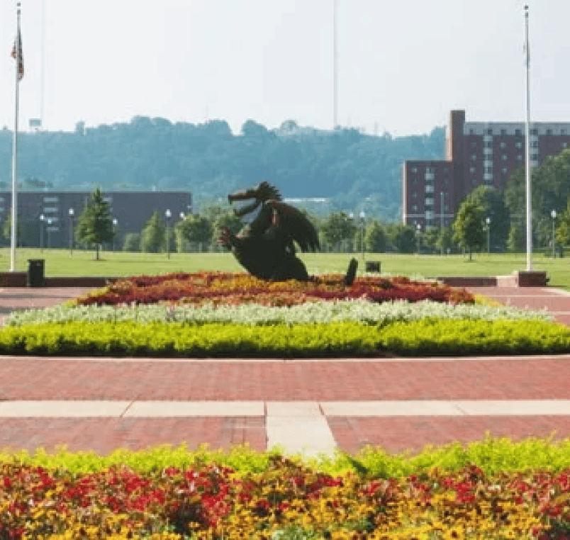 Commercial Landscaping for Colleges and Universities Landscape