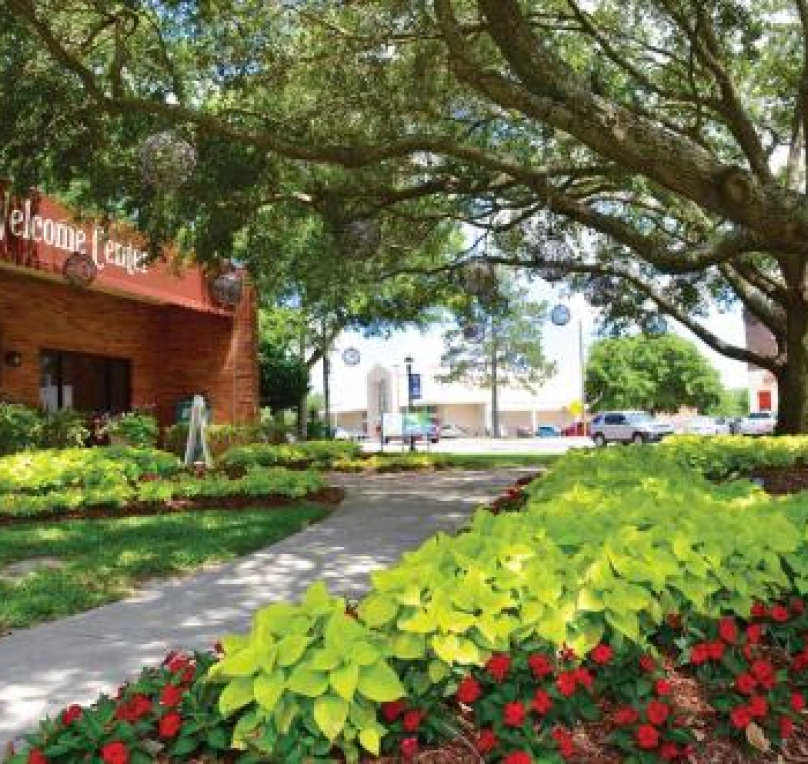 Commercial Landscaping Services for Municipalities and Government Buildings