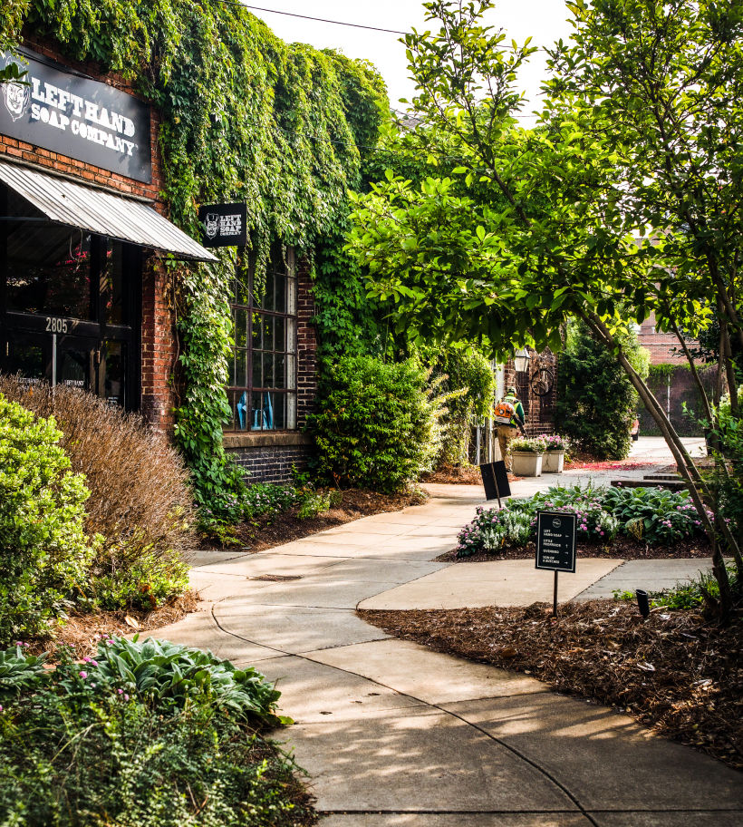 Client Gallery Landscape