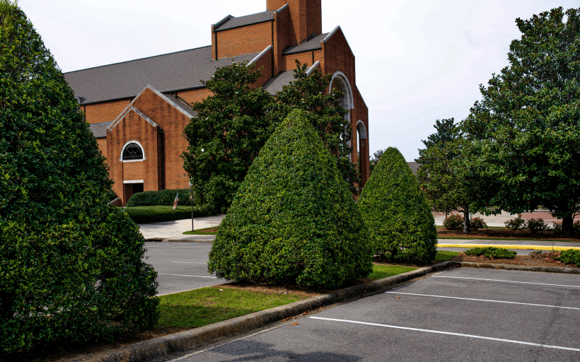 Client Gallery Landscape