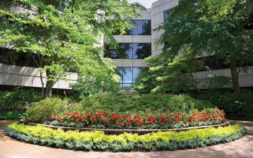 Client Gallery Landscape