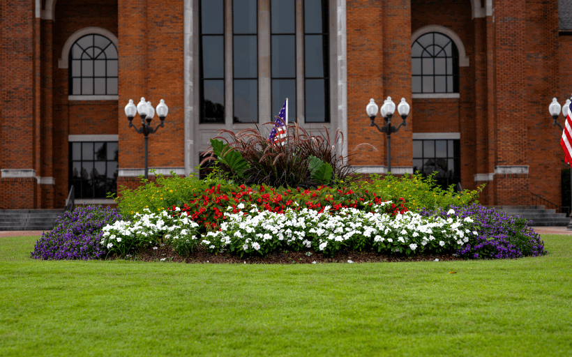 Client Gallery Landscape