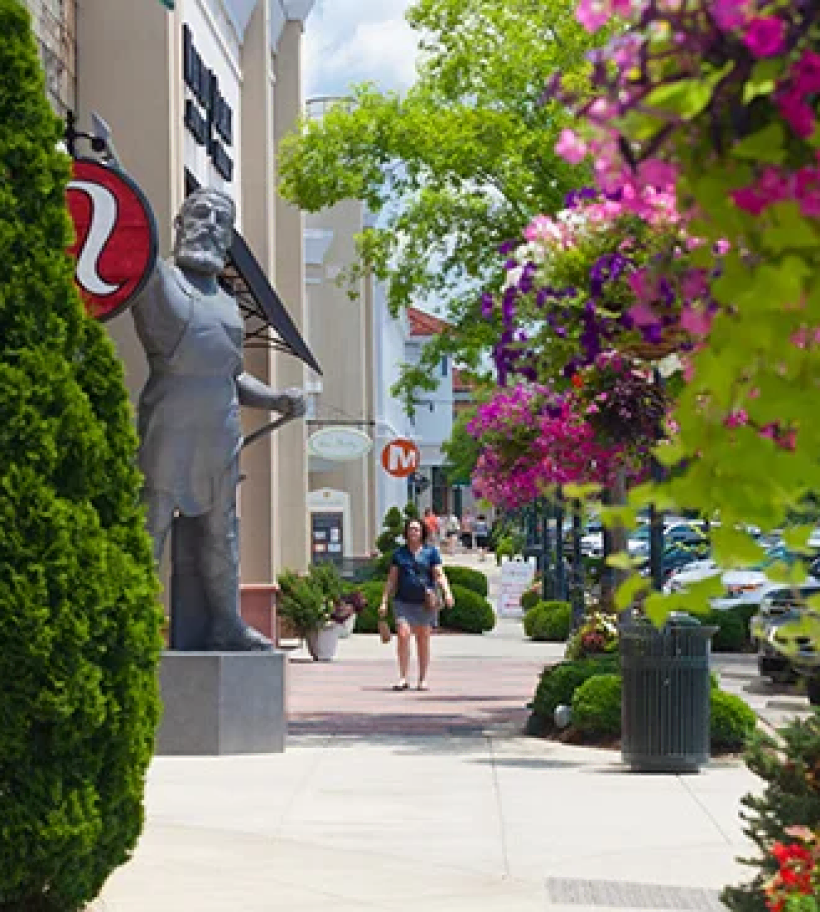 Client Gallery Landscape