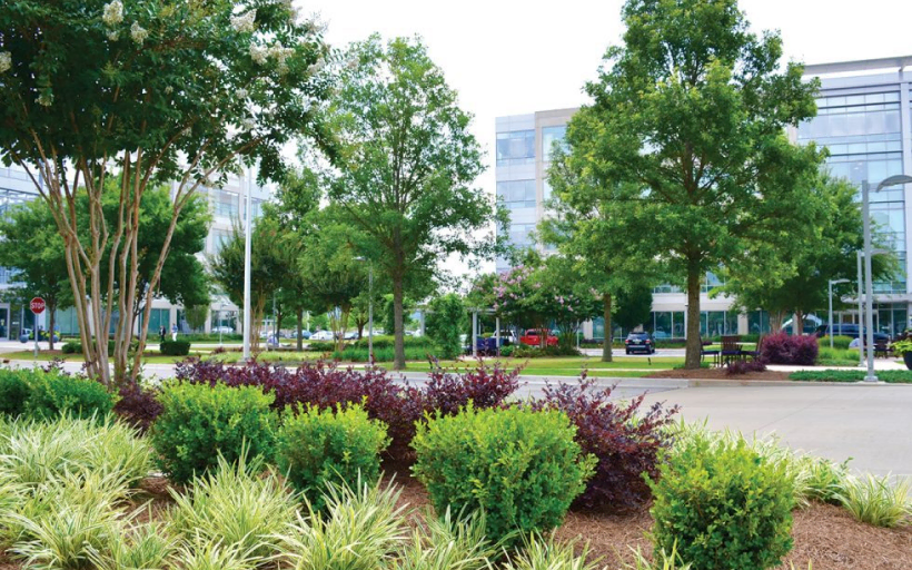 Client Gallery Landscape