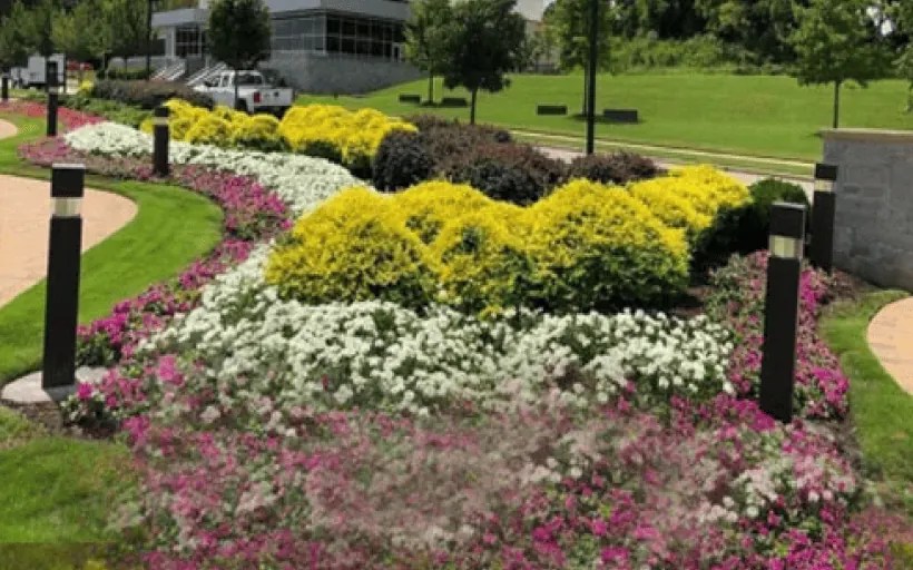 Client Gallery Landscape