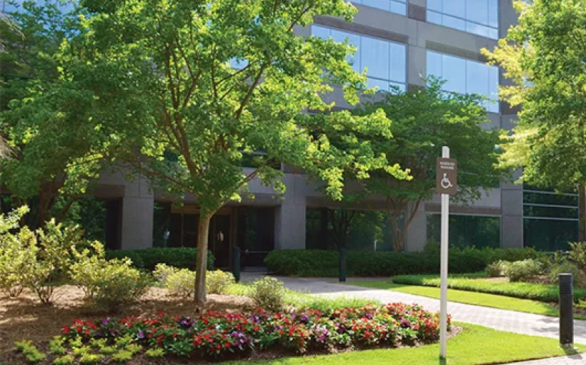 Client Gallery Landscape