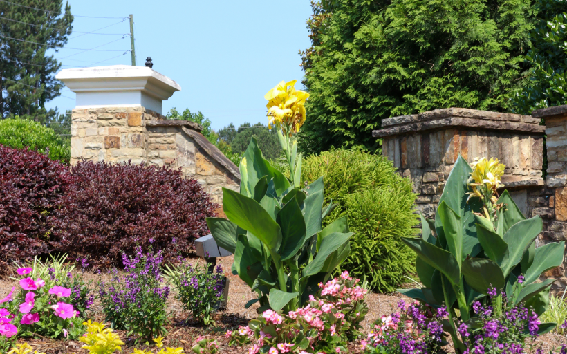 Client Gallery Landscape