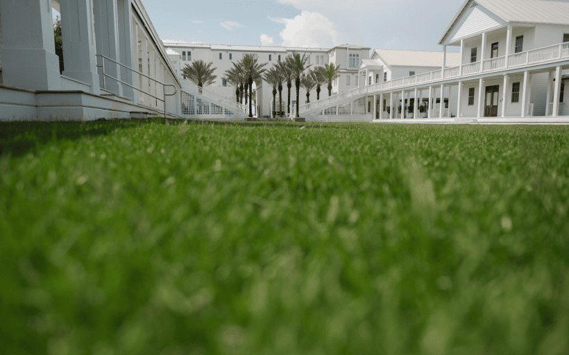 Client Gallery Landscape