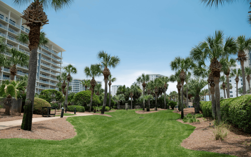 Client Gallery Landscape