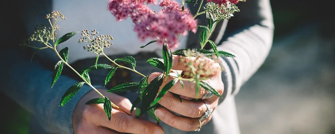 Home Mariposa Nursery & Retail Garden Center