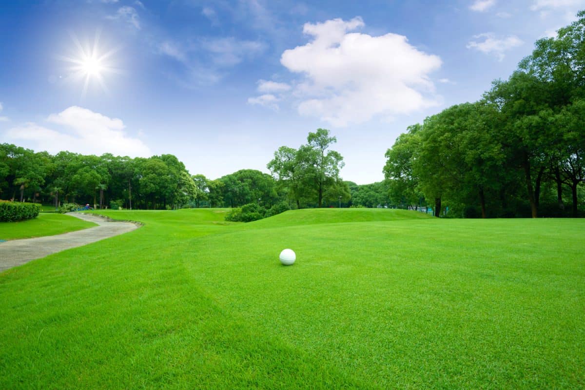 Why Is My Bermuda Grass Not Growing Vertically?