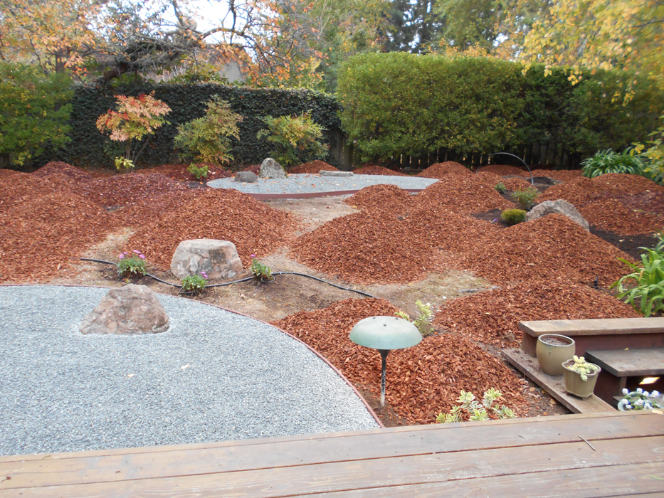 Japanese Garden, Design, photos Bay Area, Placer County