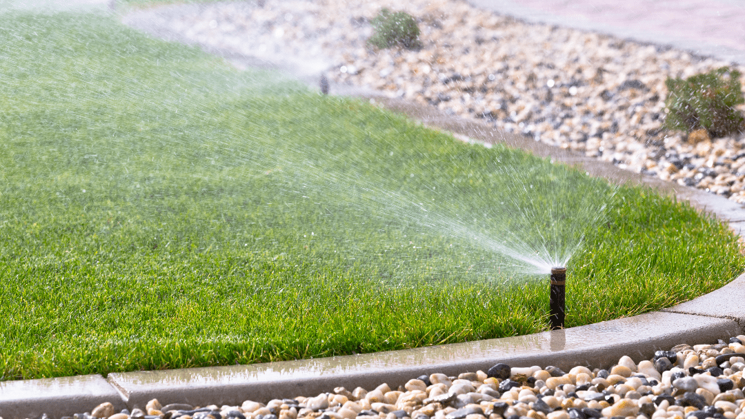 How Tuna Cans Help with Watering Your Lawn Landscaping by Mark Sons