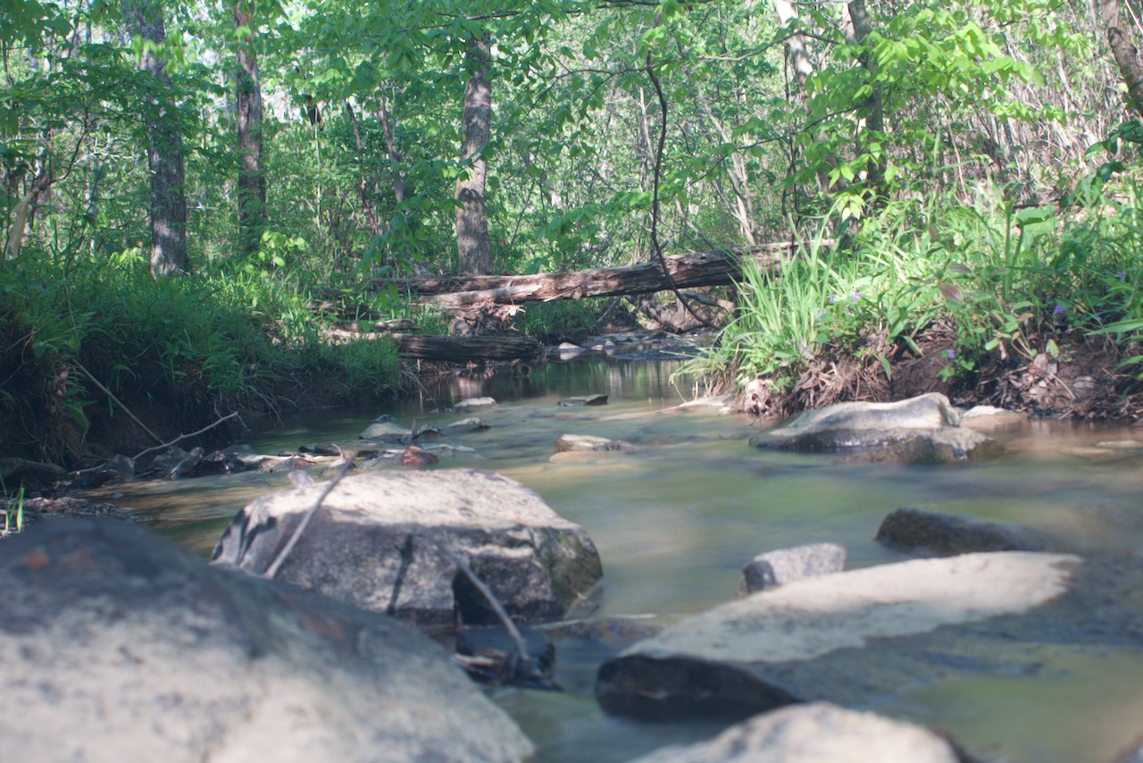 Land With Creek For Sale LandStruck