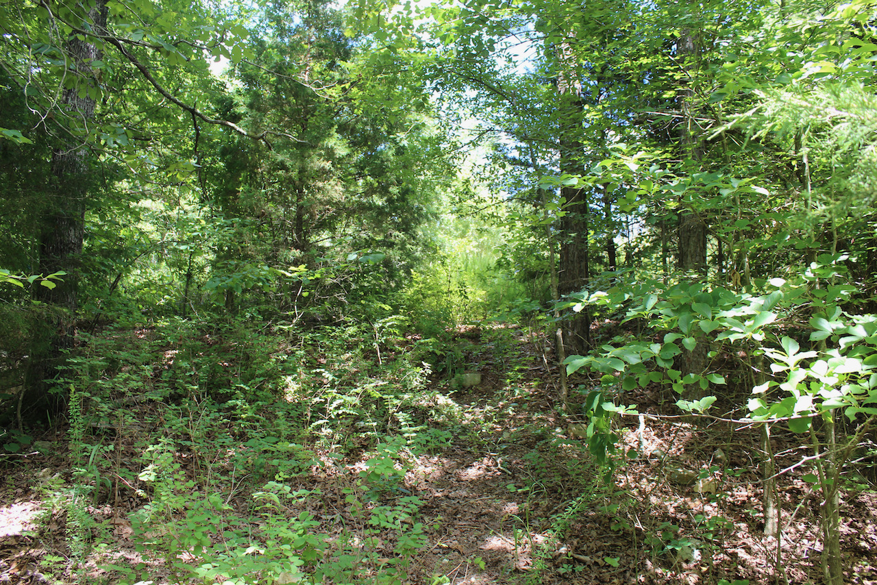 Cheap Land For Sale In Evening Shade, AR DRTR73 LandStruck