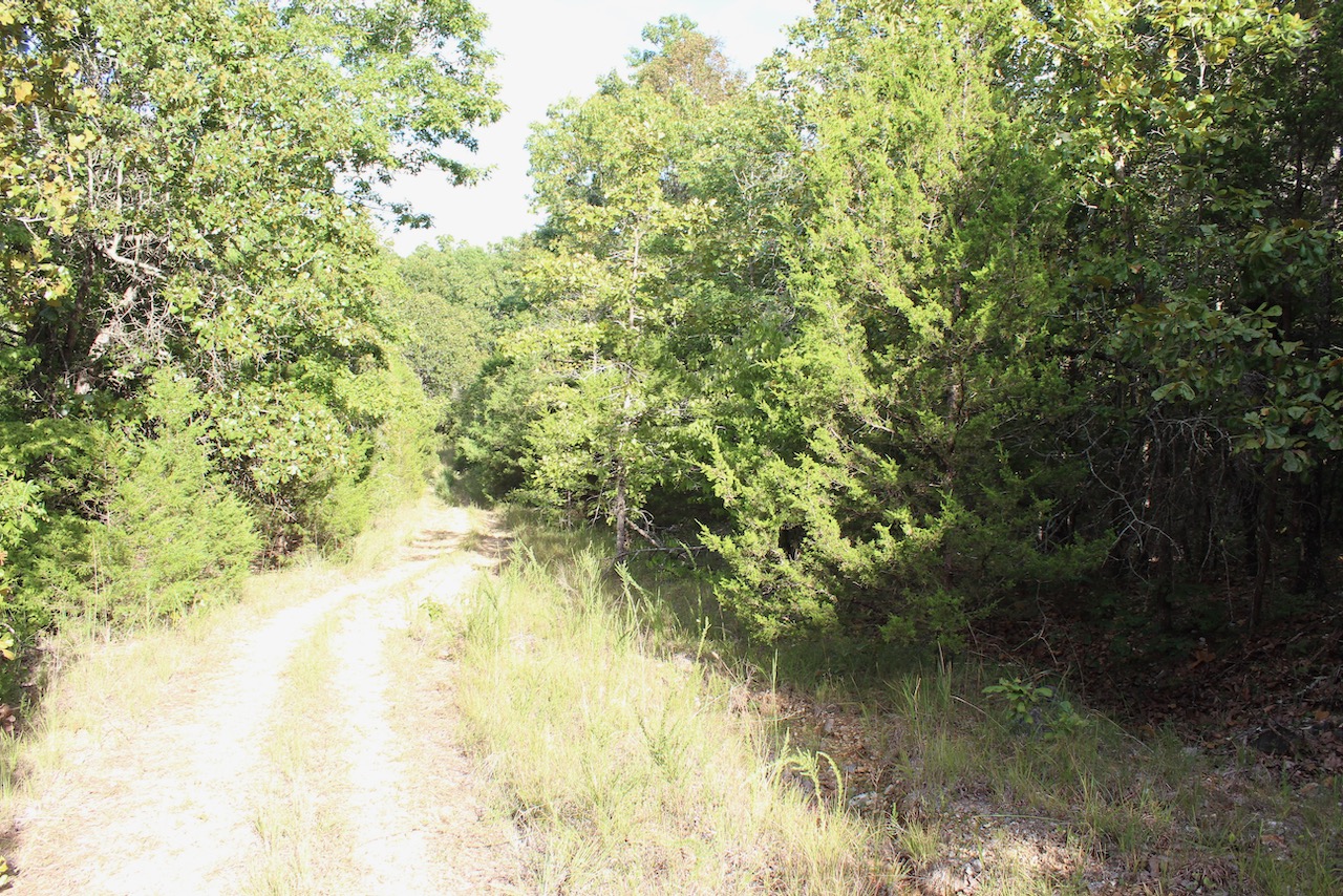 Fulton County, AR Land For Sale ARFUL13 LandStruck