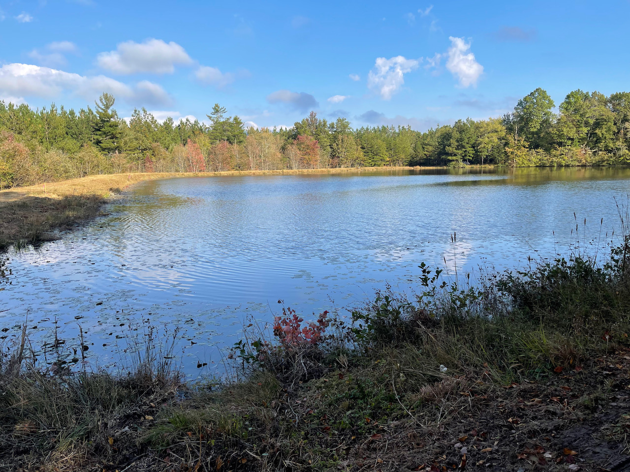 Waterfront Land In East TN MHTR18 LandStruck