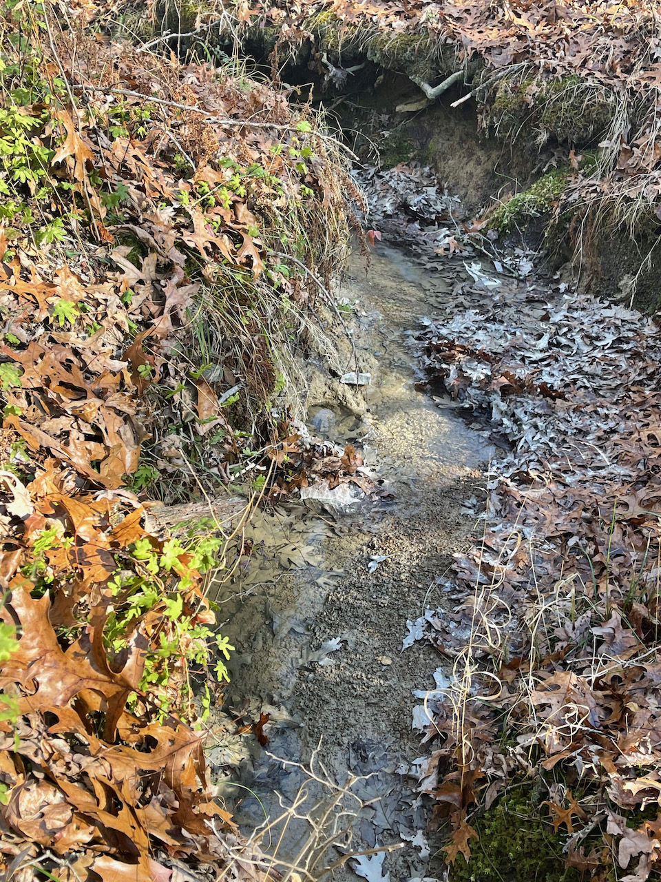 tn_land_with_a_spring_fed_stream_ 11 LandStruck