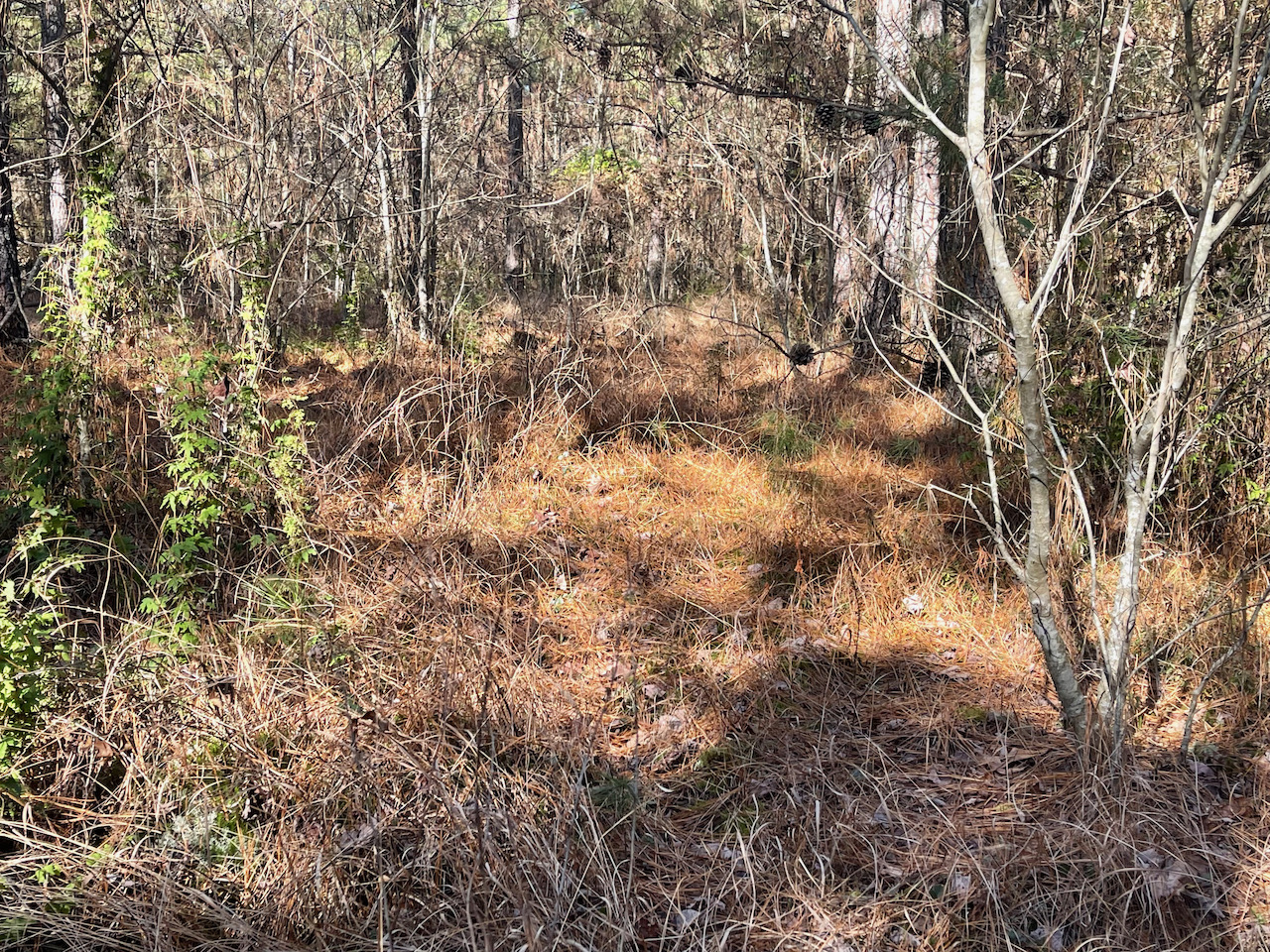 tn_land_with_a_spring_fed_stream_ 17 LandStruck