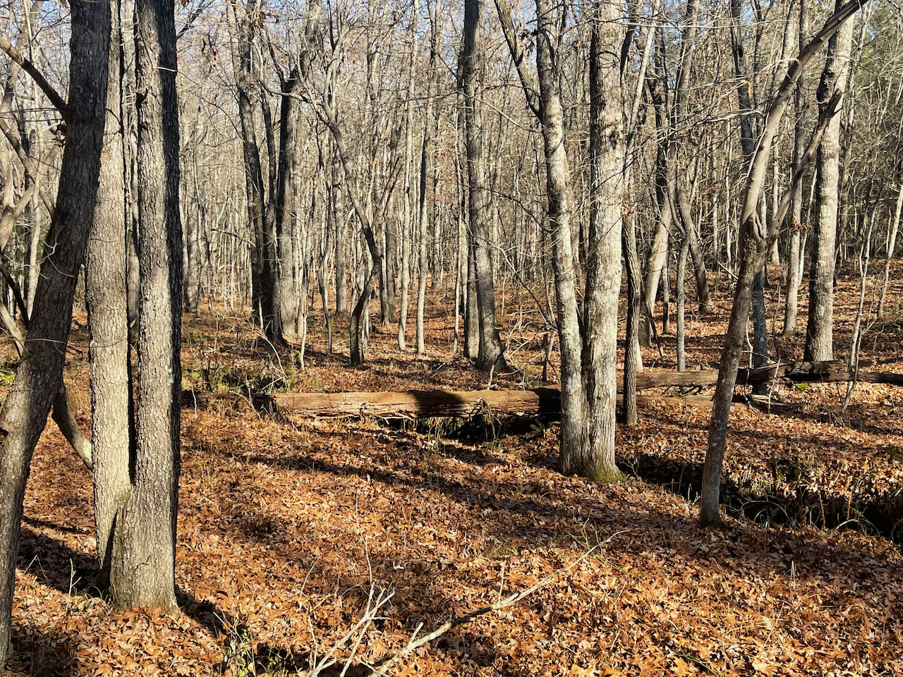 tn_land_with_a_spring_fed_stream_ 9 LandStruck