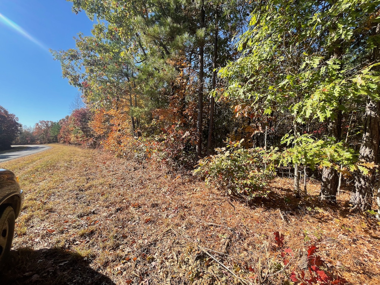 Land For Sale In Tennessee With Owner Financing APTR19 LandStruck