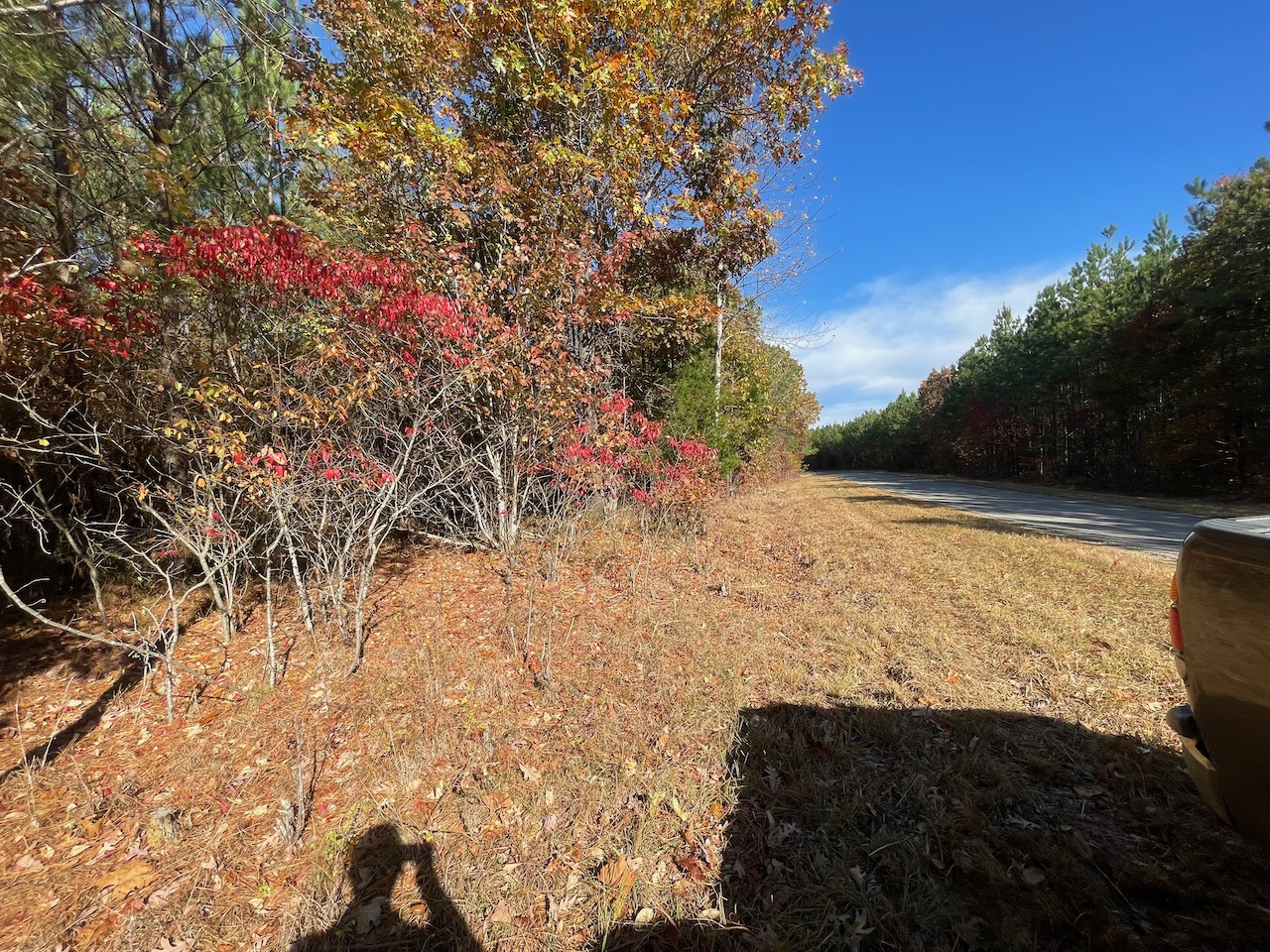 Land For Sale In Tennessee With Owner Financing APTR19 LandStruck