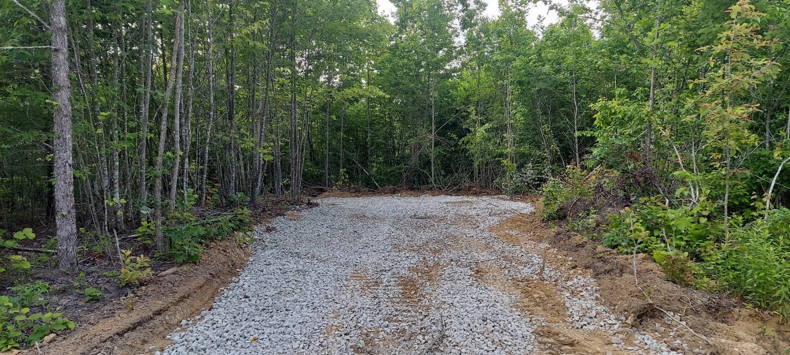 Wooded TN BugOut Land With A Creek GCETR75CA LandStruck