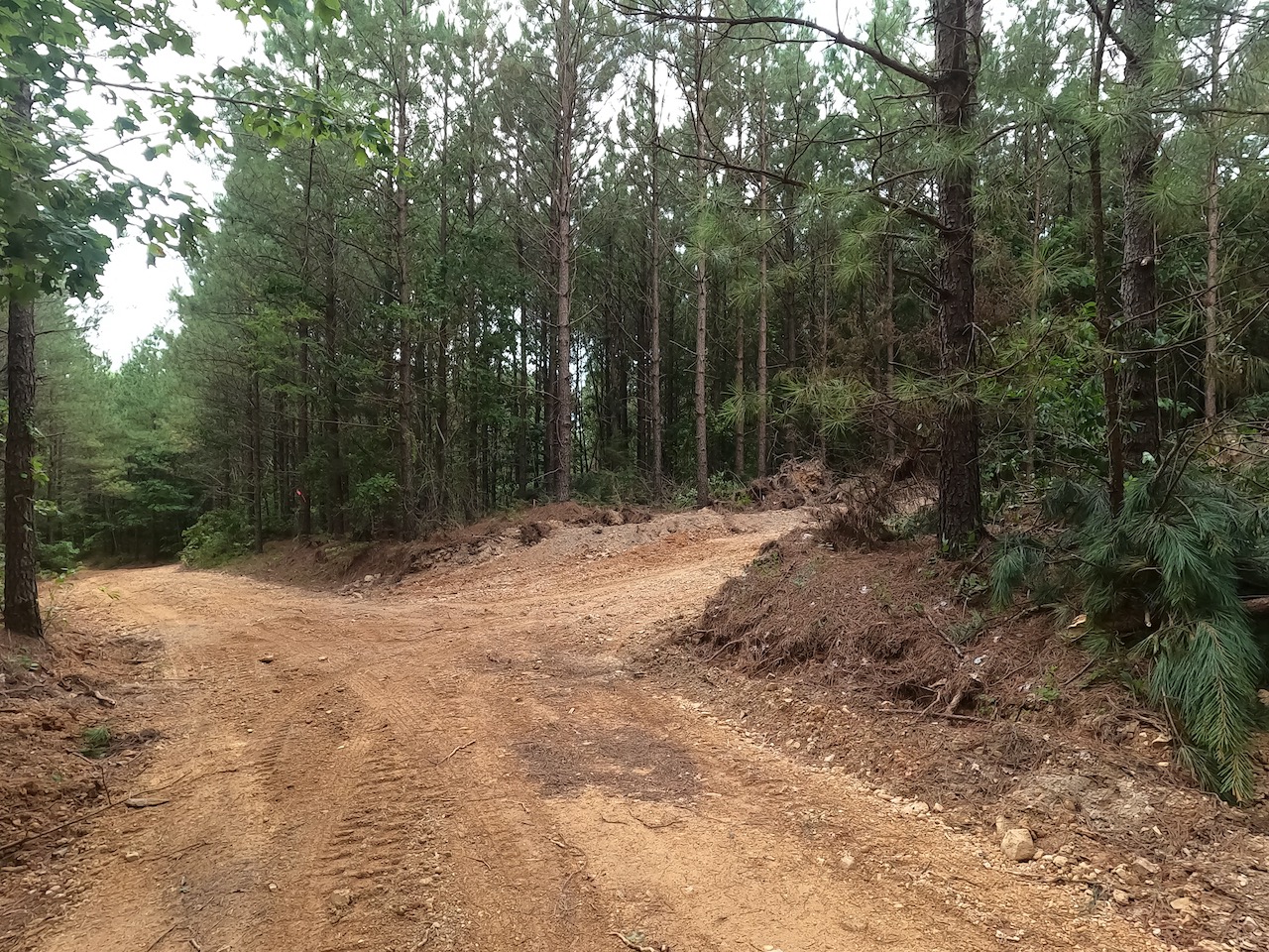 Unrestricted Land For Sale In Tennessee APTR7 LandStruck