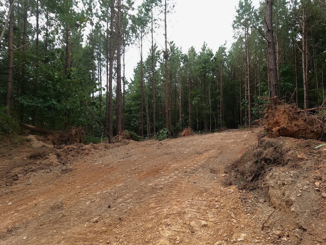 Unrestricted Land For Sale In TN On A Private Road APTR08 LandStruck