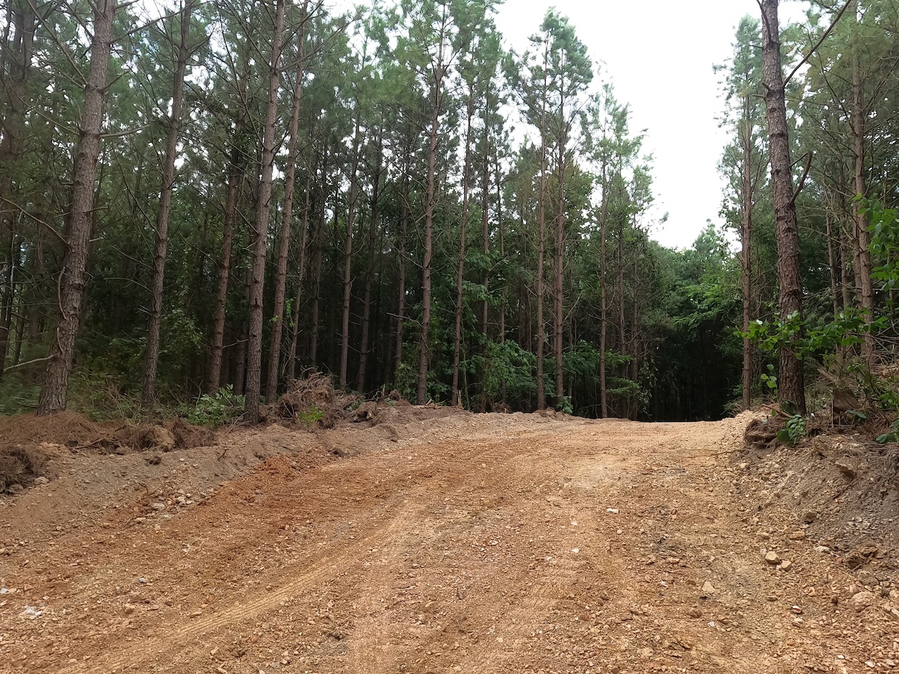 Unrestricted Land For Sale In Tennessee APTR7 LandStruck