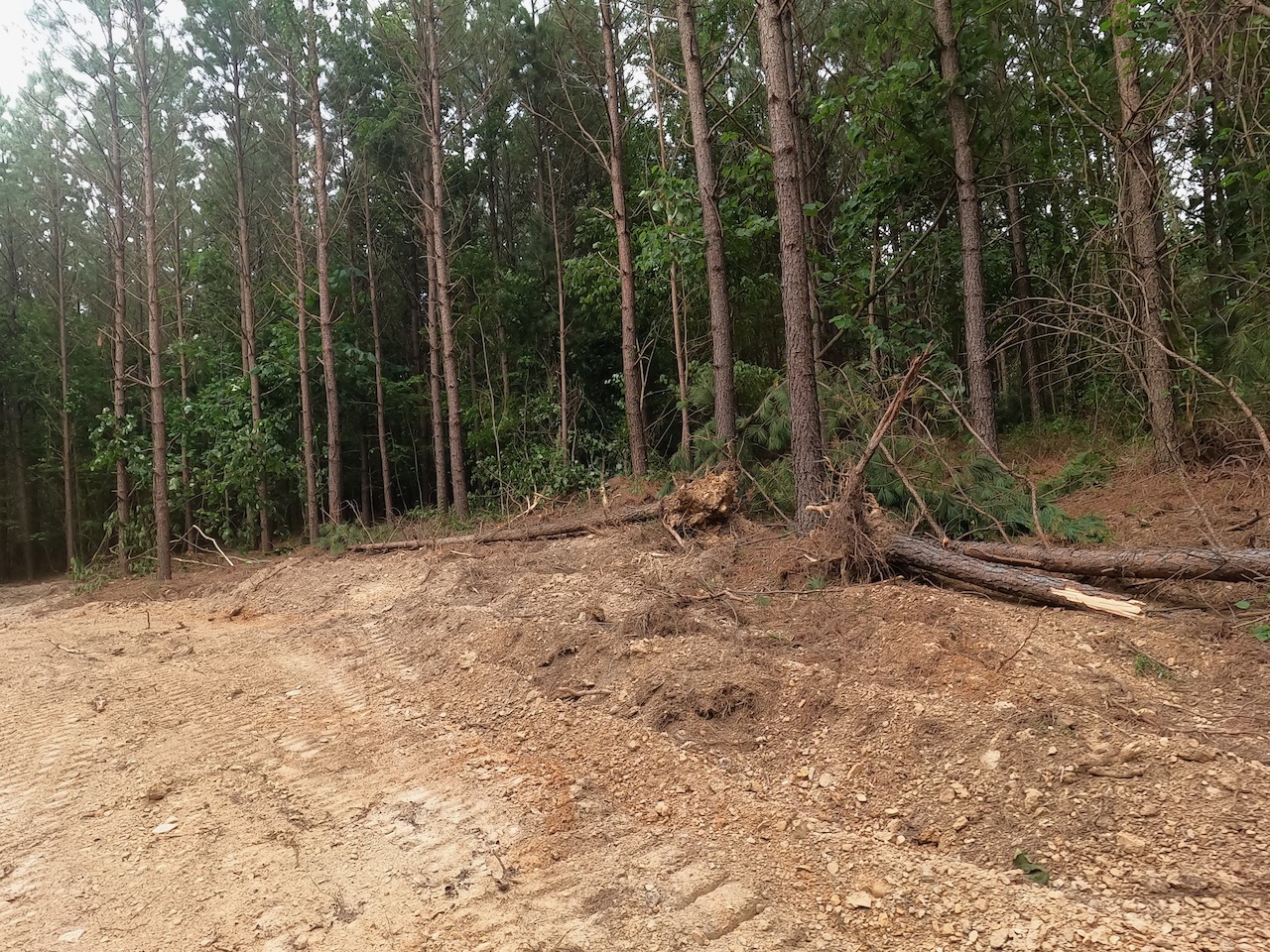 Unrestricted Land For Sale In TN On A Private Road APTR08 LandStruck