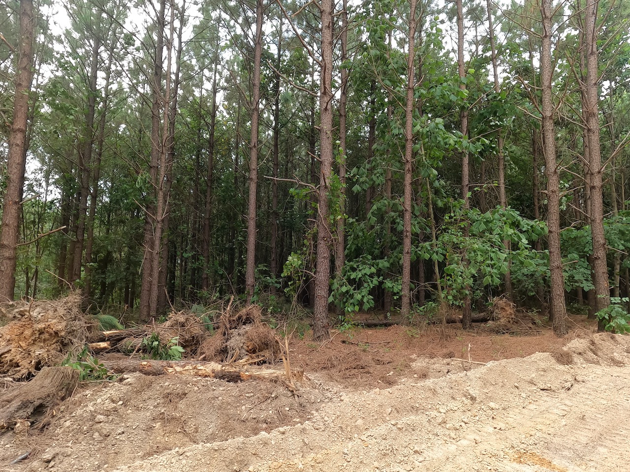 Unrestricted Land For Sale In Tennessee APTR7 LandStruck