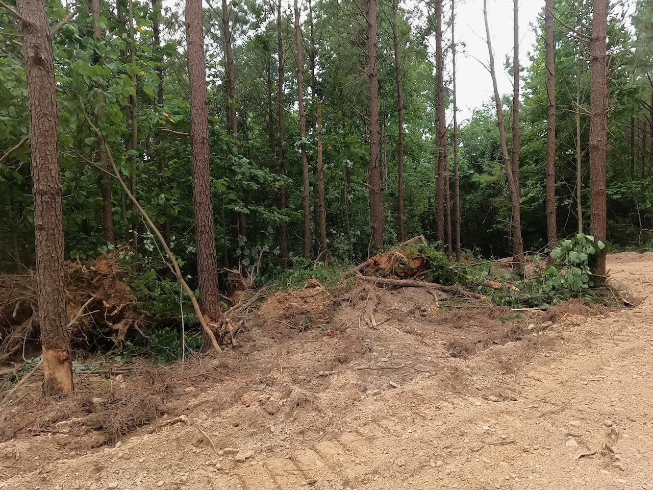 Unrestricted Land For Sale In TN On A Private Road APTR08 LandStruck