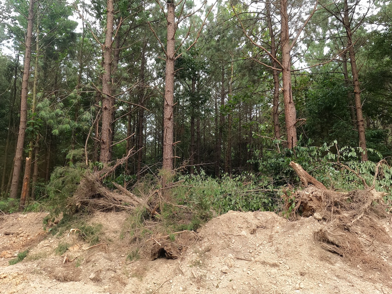 Unrestricted Land For Sale In Tennessee APTR7 LandStruck