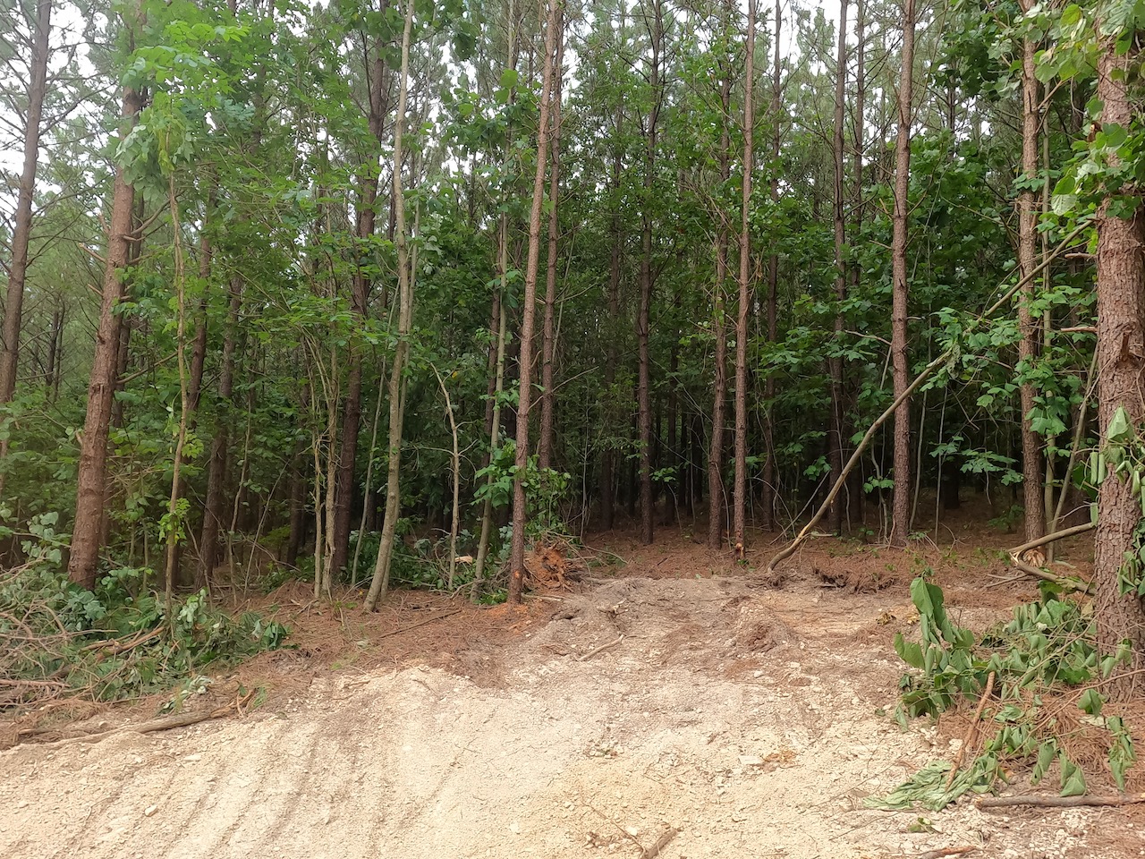 Unrestricted Land For Sale In TN On A Private Road APTR08 LandStruck