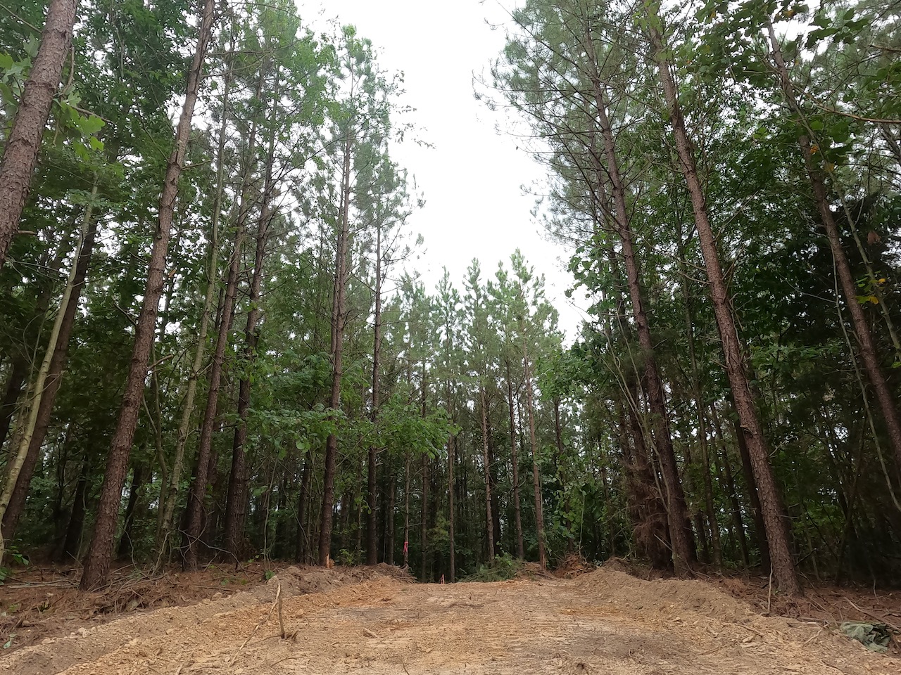 Unrestricted Owner Financed Land In TN APTR10 LandStruck