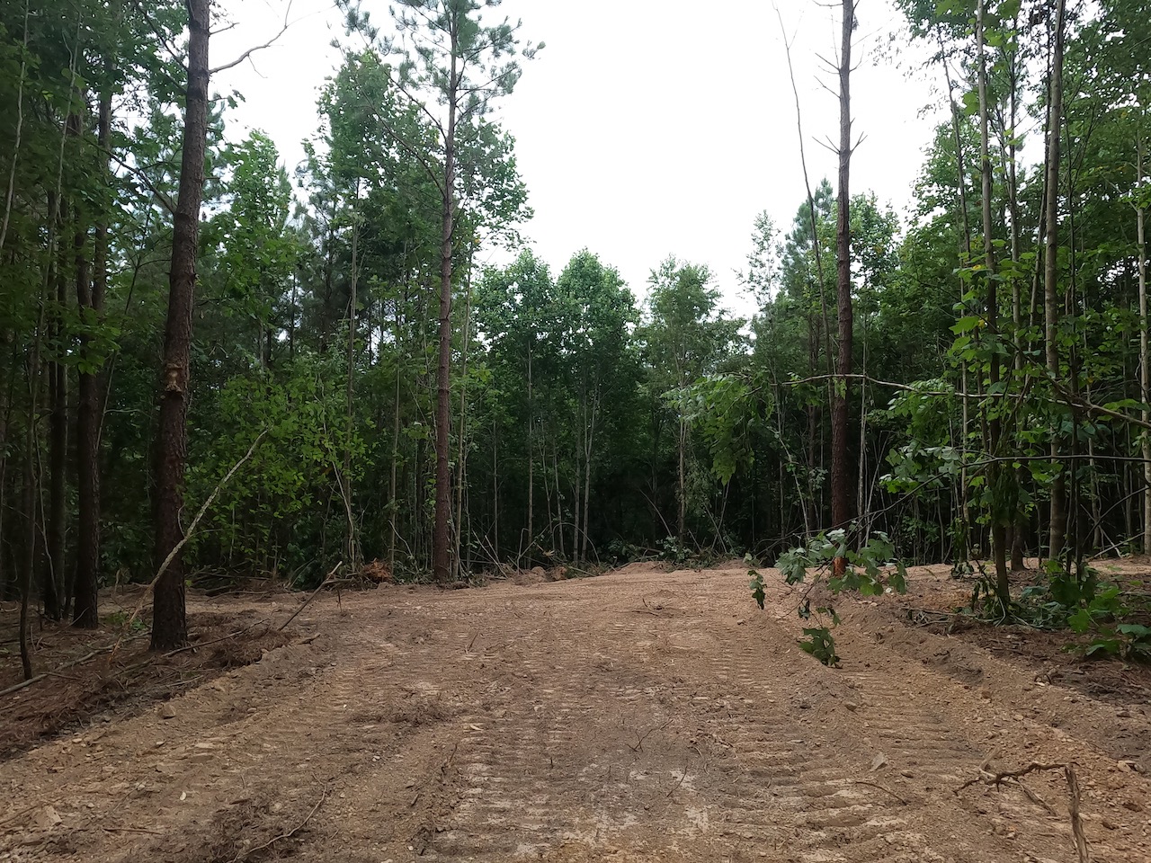 Unrestricted Owner Financed Land In Tennessee APTR9 LandStruck