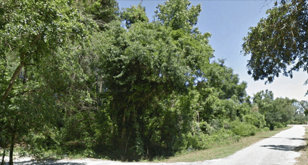1 Acre Lot in Williamsburg County, SC LandTank