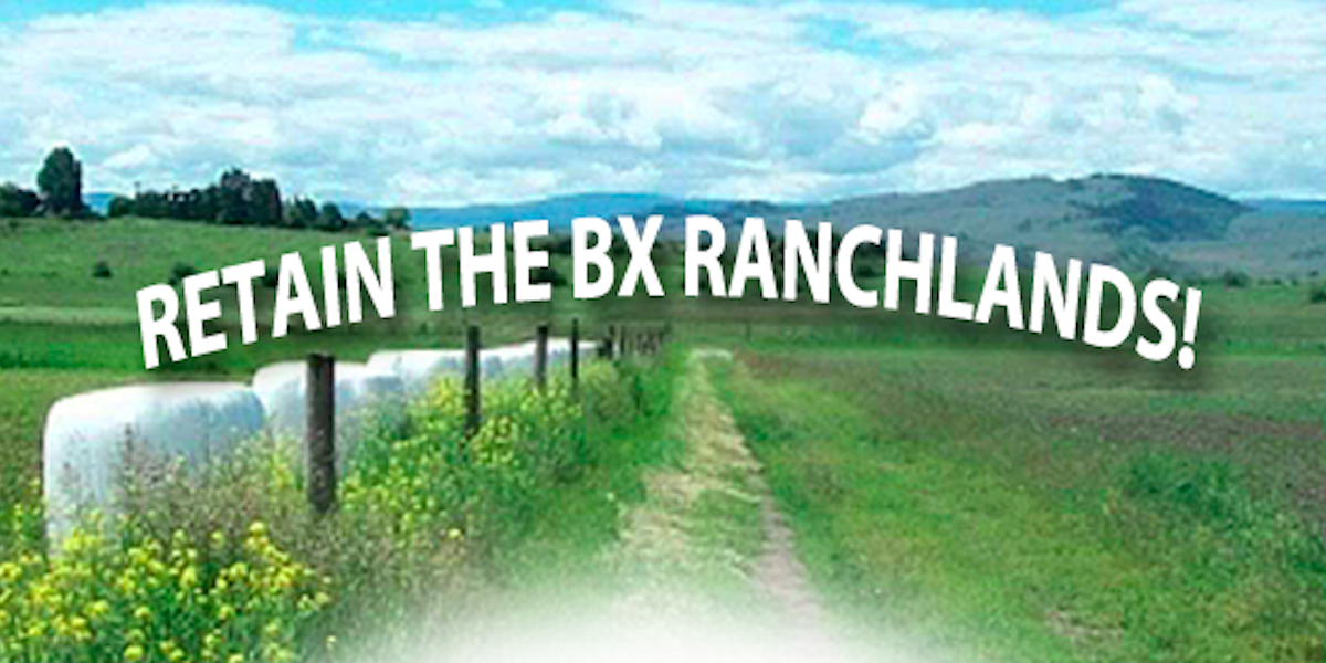 BX Ranchlands A Functional Past and a Promising Future North